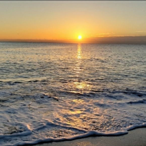 Meet your Posher, Judy - Picture 5 of 10